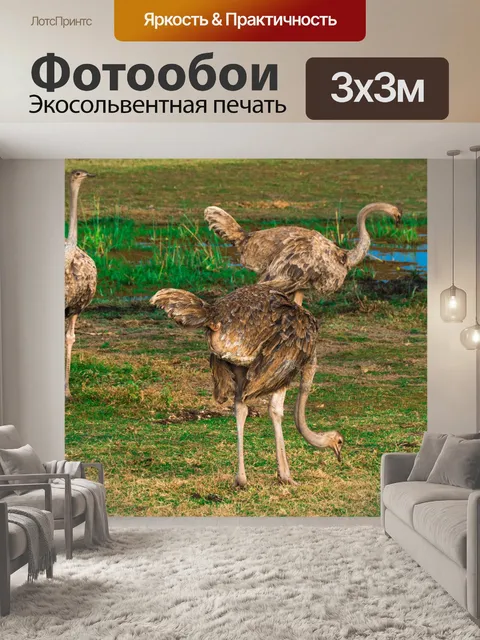Фотообои Страус