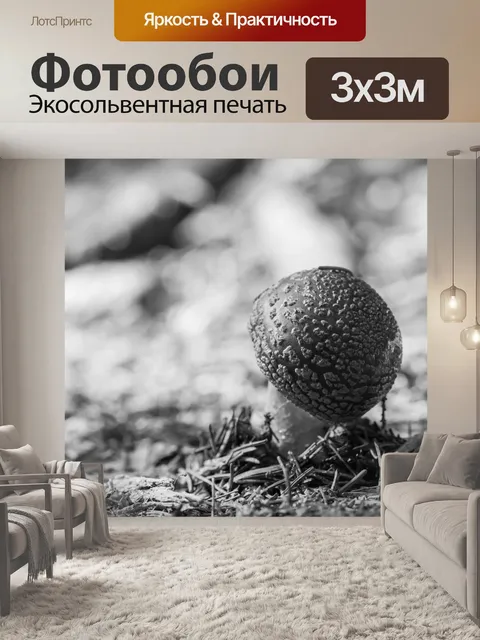 Фотообои Лесные грибы