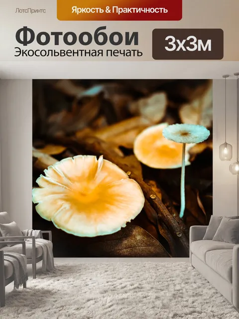Фотообои Природа