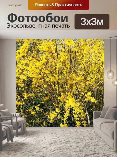 Фотообои Форсайтия