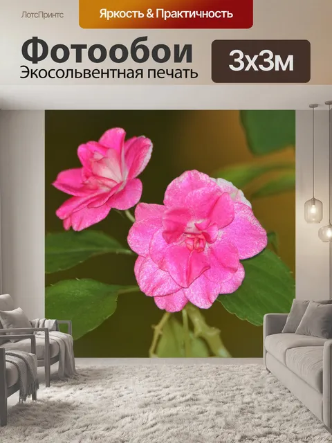 Фотообои Розовые цветы Impatiens
