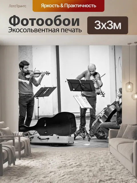 Фотообои Музыкант