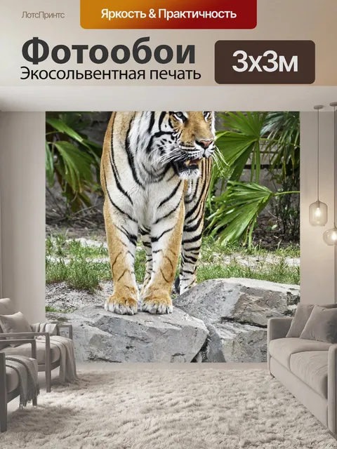 Фотообои Тигр