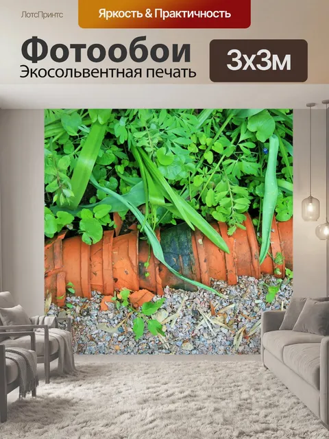 Фотообои красный горшок растение кровать