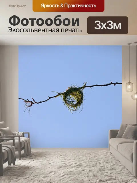 Фотообои начало гнезда ткача