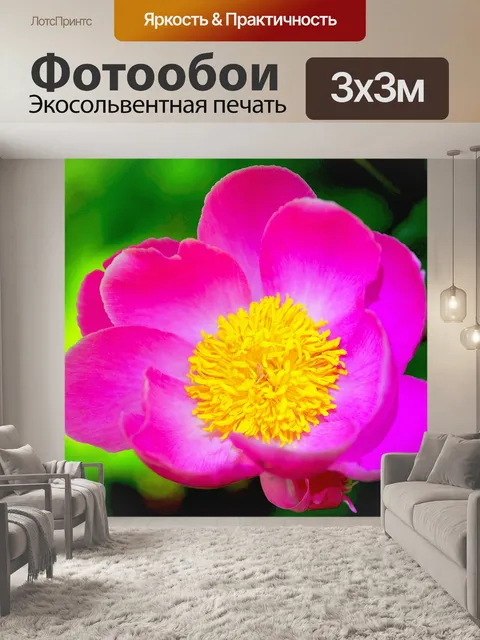 Фотообои Цветок