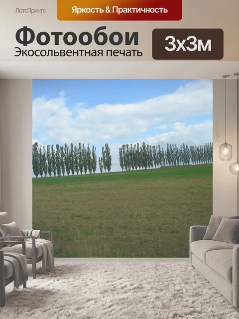 Фотообои Аллея