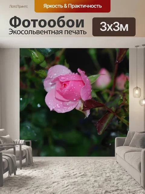 Фотообои Розы