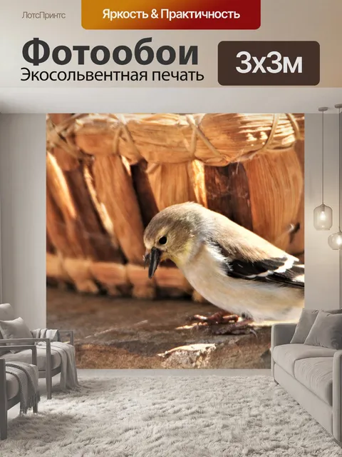 Фотообои Женский щегол крупным планом 2