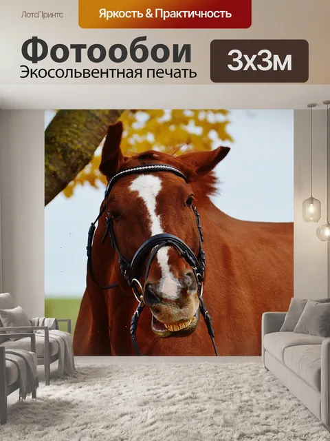 Фотообои Лошадь