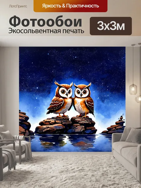 Фотообои животные: два милые совы, сидящие на камнях на фоне звёздного неба, украшенного яркими созвездиями