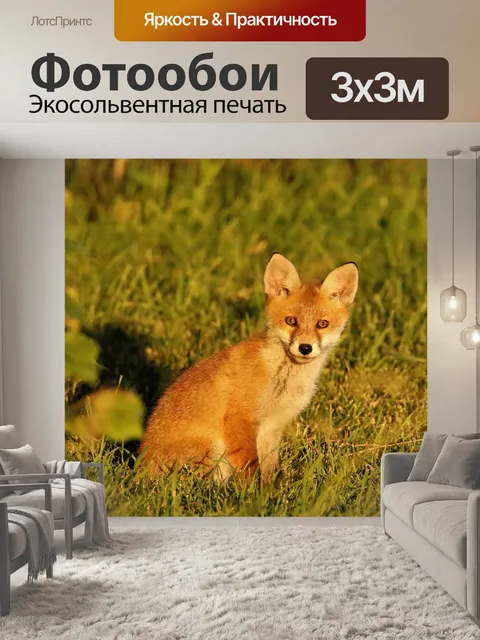 Фотообои Молодой лис