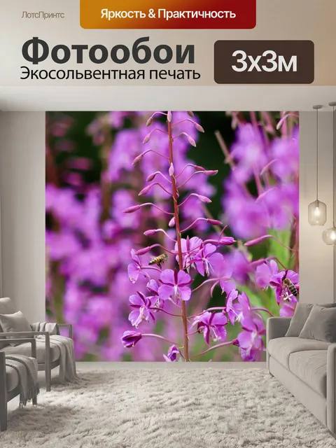Фотообои Кипрей узколистный