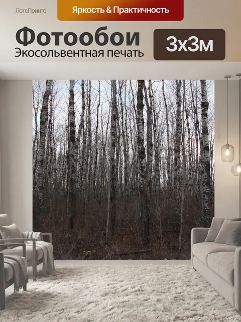Фотообои Тополь осина