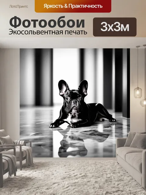 Фотообои стильное и лаконичное изображение французского бульдога