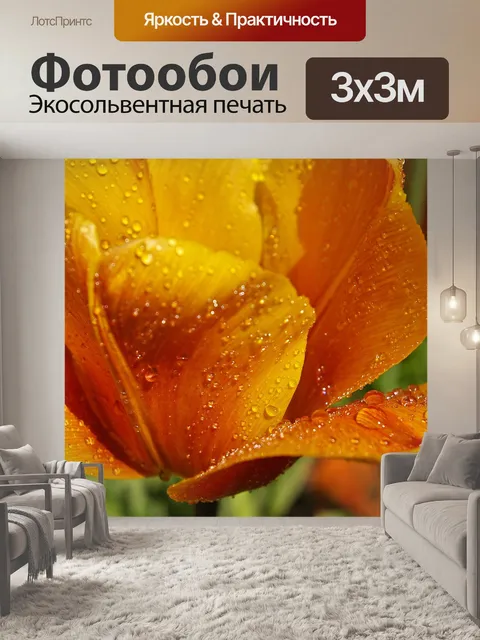 Фотообои Желтый тюльпан