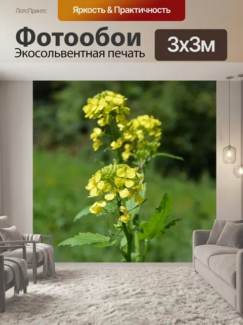 Фотообои Желтые цветы