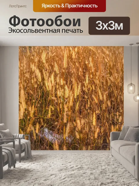 Фотообои Дикий цветок травы