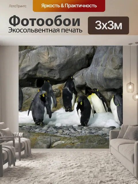 Фотообои Императорский пингвин в номер кондиционе