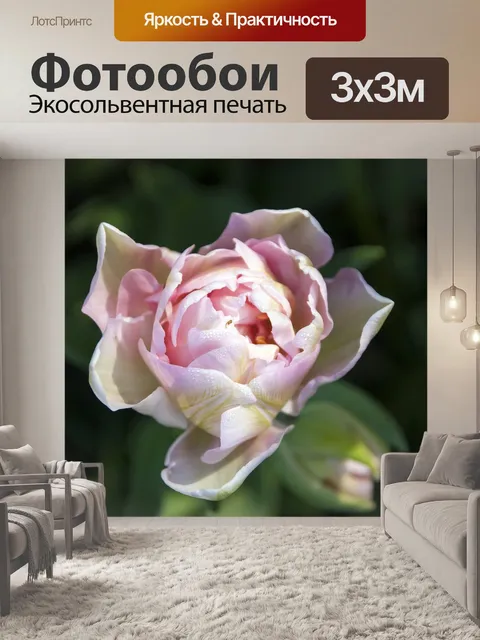 Фотообои Розовый