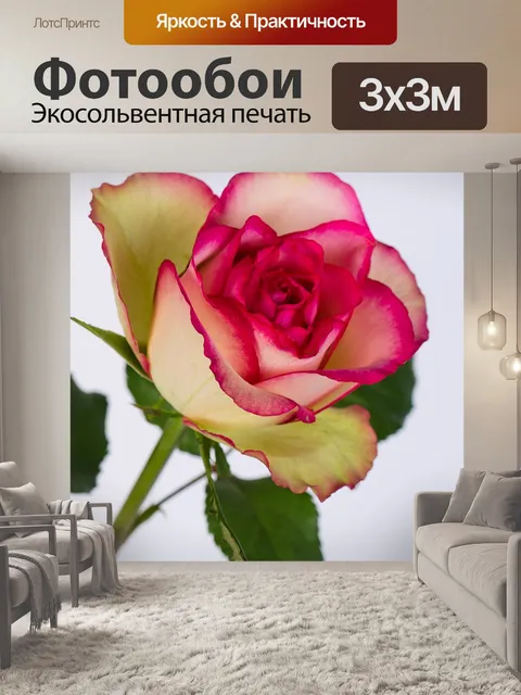 Фотообои Розовый