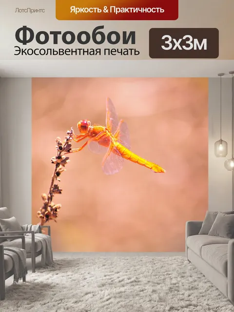 Фотообои Стрекоза