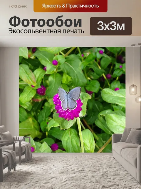 Фотообои Бабочка