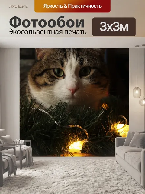 Фотообои Кошка
