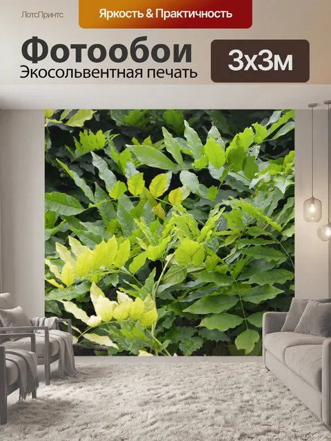 Фотообои Зеленые листья
