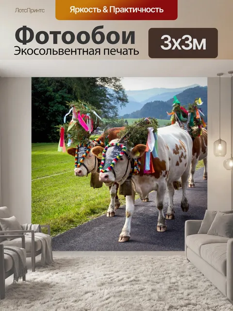 Фотообои Альпийский драйв