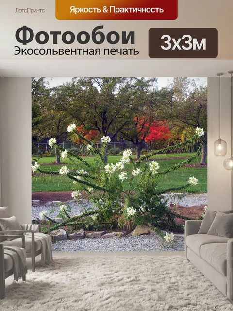 Фотообои Странно завод