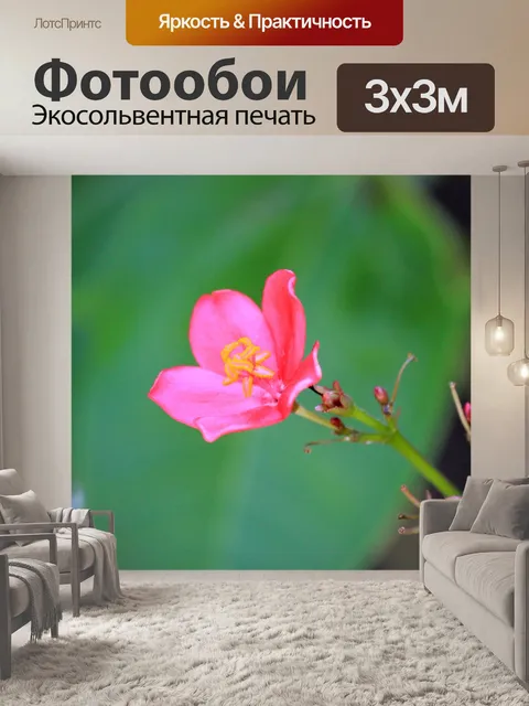 Фотообои Розовый цветок 2