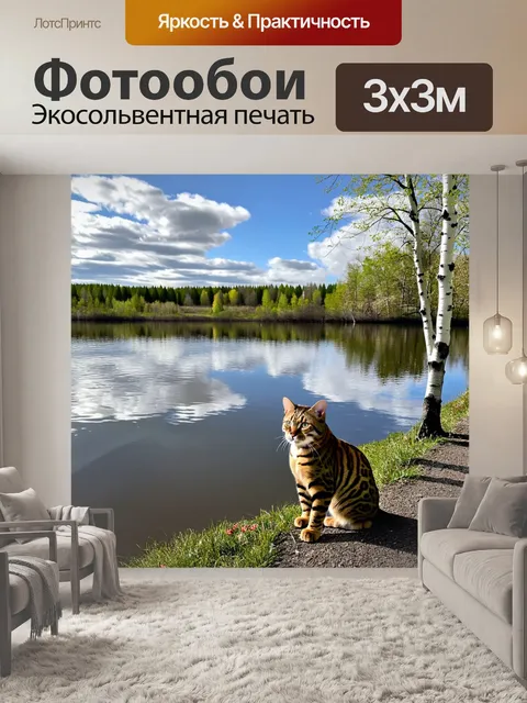 Фотообои бенгальская кошка на берегу спокойного озера, где отражаются берёзы и облака