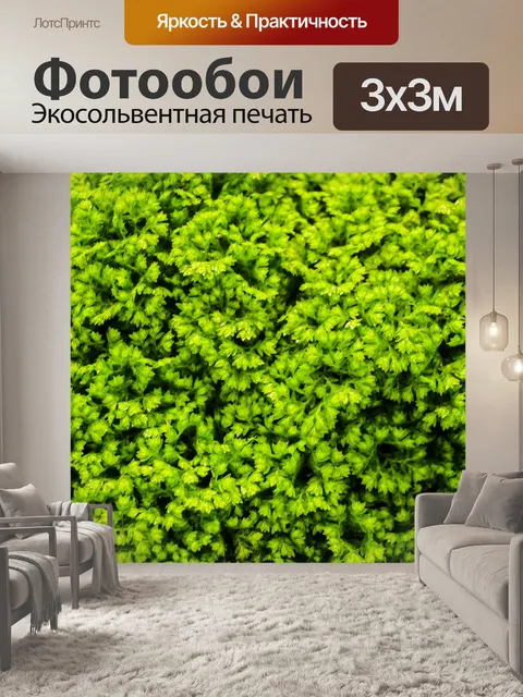 Фотообои листья папоротника зеленый фон