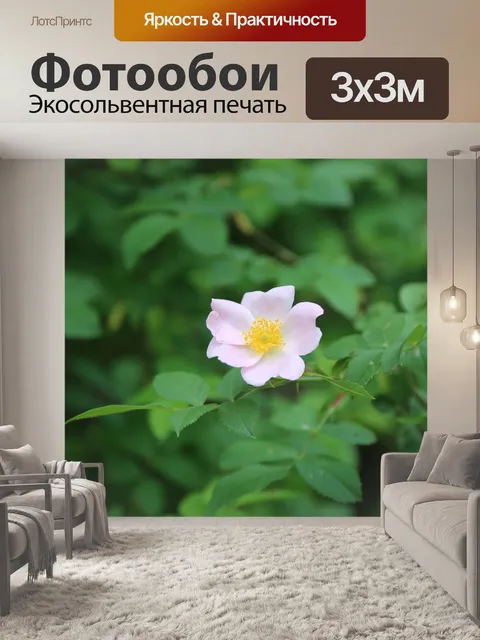 Фотообои Шиповник