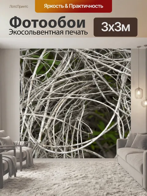 Фотообои Tangled Отрасли зимой