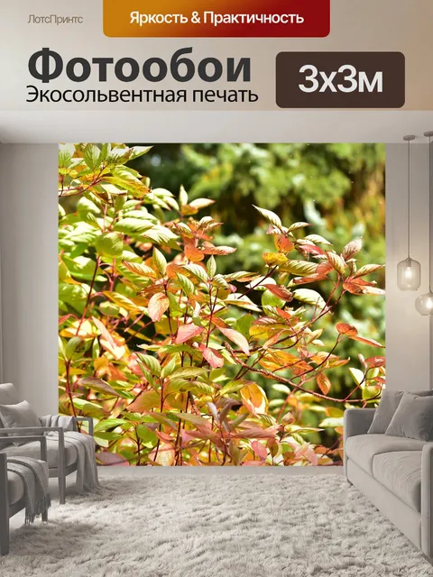 Фотообои Падение