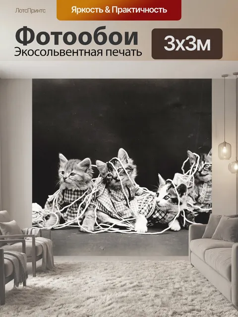 Фотообои Кошка Одетая Винтаж Фото