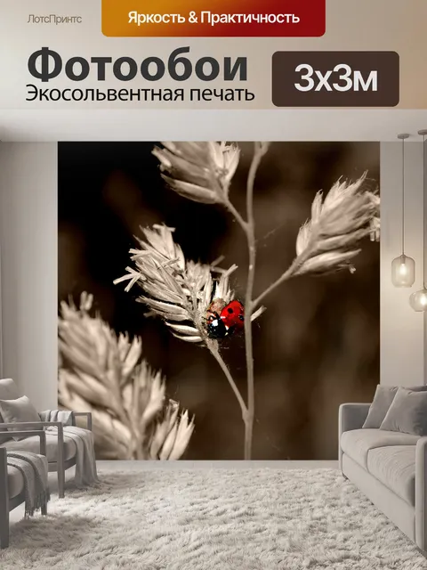 Фотообои Божья коровка