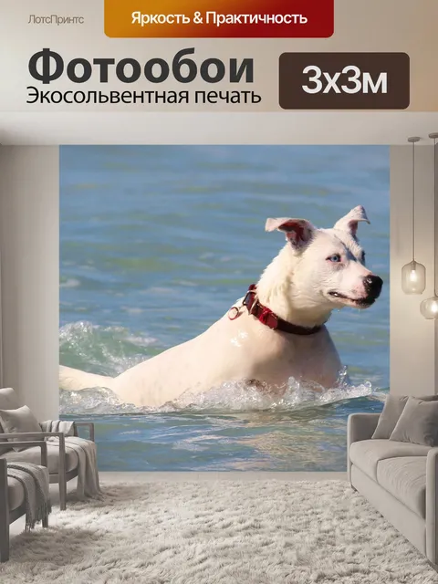Фотообои Собака
