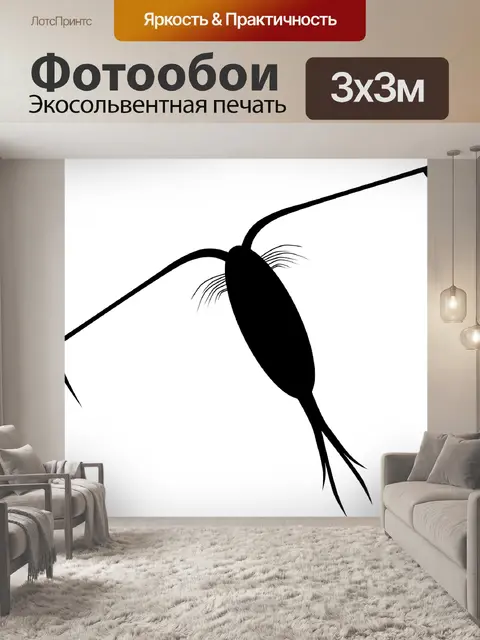 Фотообои Амёба