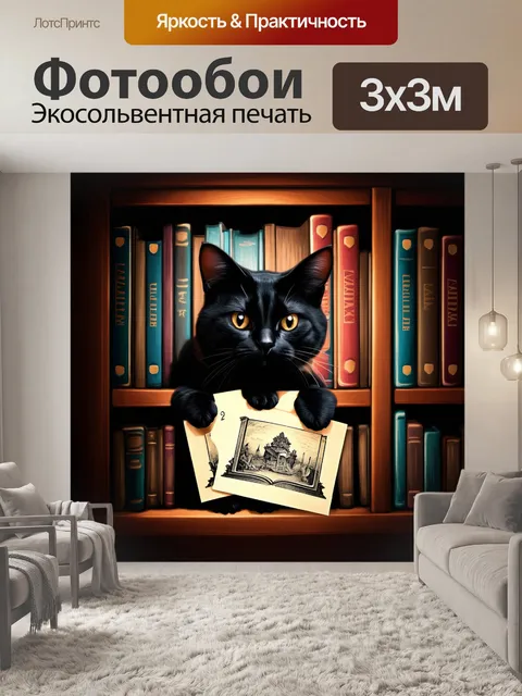 Фотообои черный кот, выглядывающий из-за книжной полки, полное старинных книг и тайных открыток