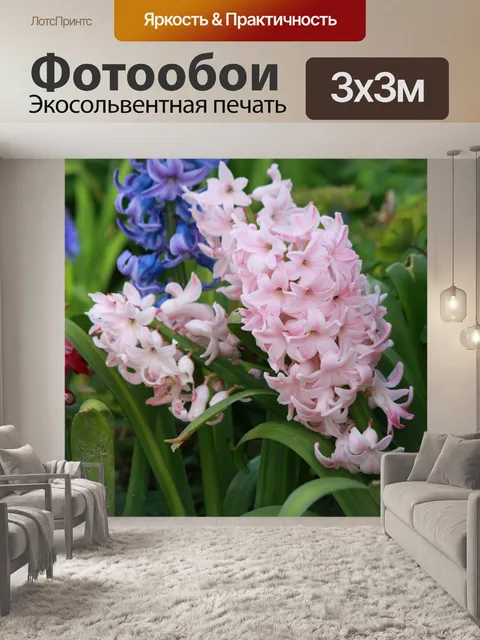 Фотообои Розовый гиацинт цветы