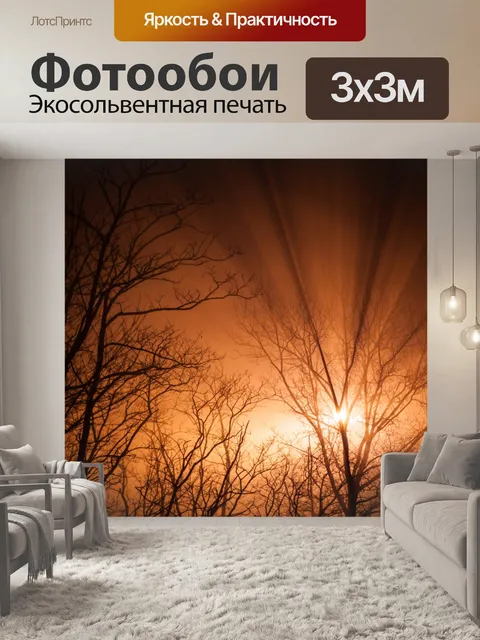 Фотообои Дерево и туман
