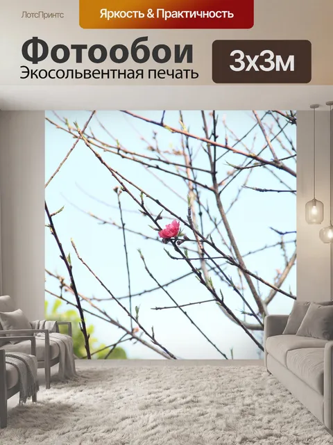 Фотообои Цветение персика
