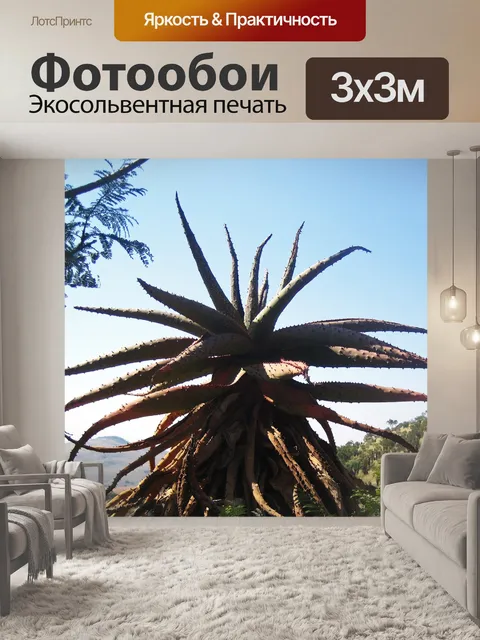 Фотообои вершина горы алоэ на фоне неба