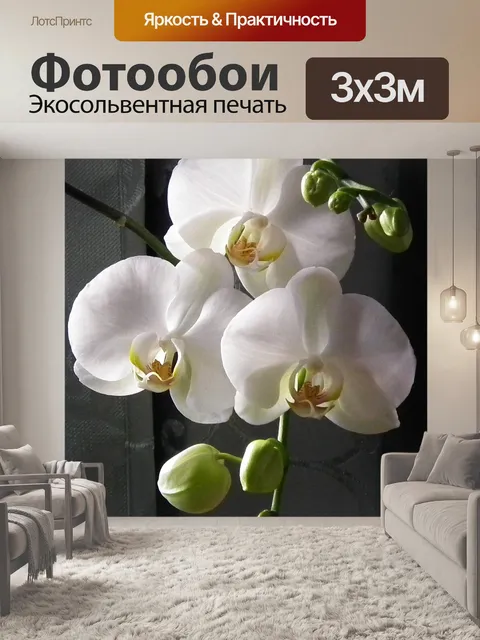 Фотообои Белая орхидея