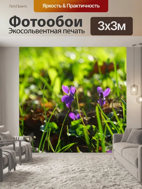 Фотообои Лесные фиалки