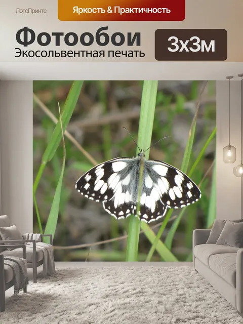 Фотообои Бабочка
