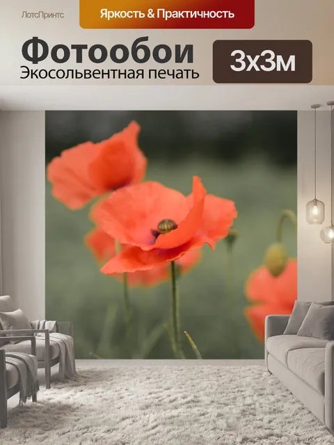 Фотообои Красный мак